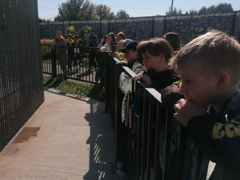Дружба с детства. 4 класс А посетил Барнаульский зоопарк в парке «Лесная сказка».